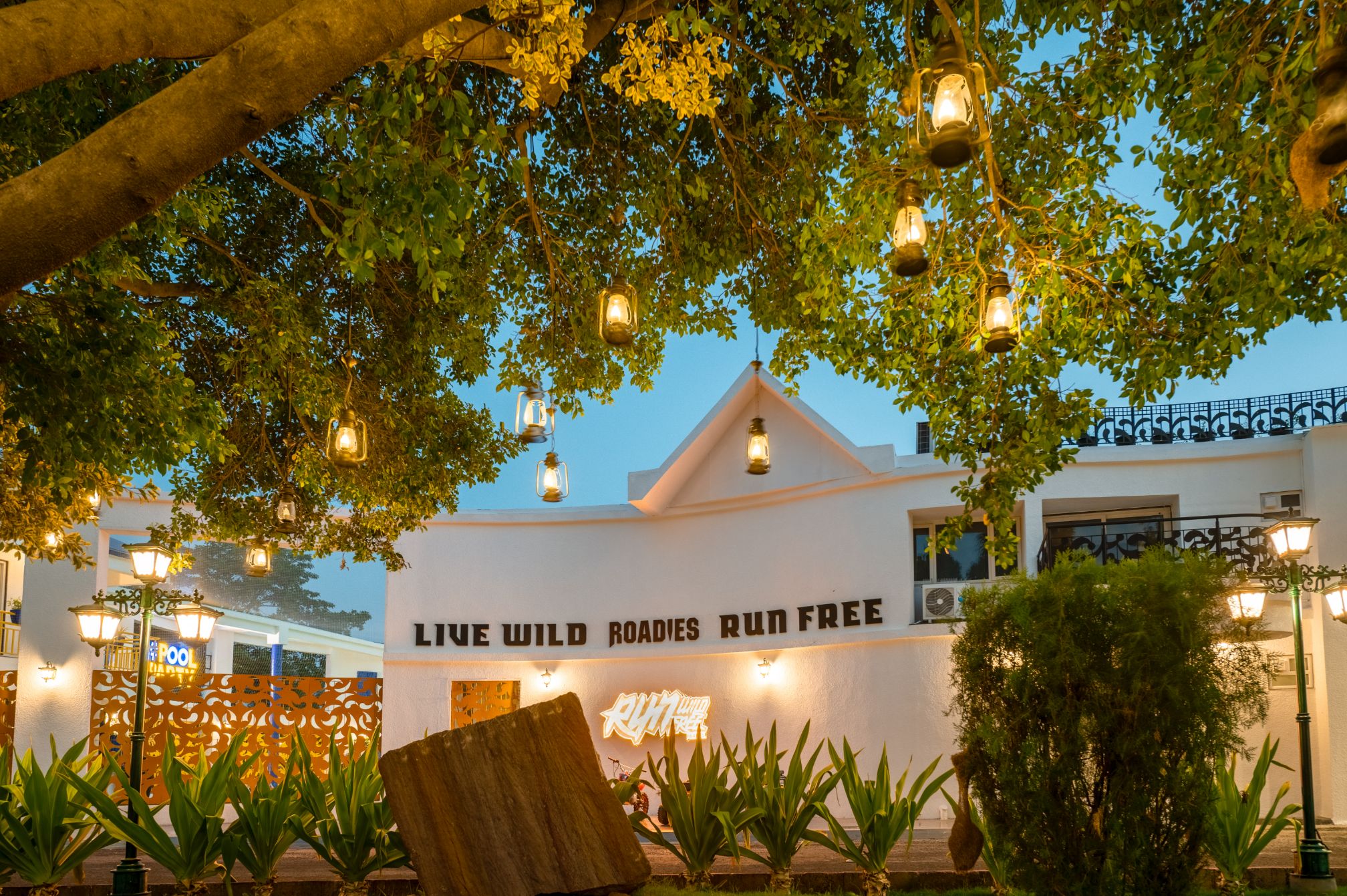 Live Wild sign under lighted trees at Roadies Rostel, a picturesque picnic location near Ahmedabad